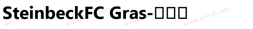 SteinbeckFC Gras字体转换